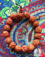 Rudraksha (sacred seeds of Shiva) wrist rosary. #319